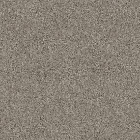 Textured Saxony Explorer Beige/Tan Carpet