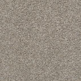 Textured Saxony Explorer Beige/Tan Carpet