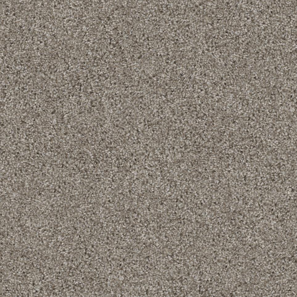 Texture Explorer Beige/Tan Carpet