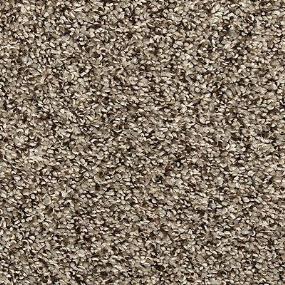 Texture Sense Beige/Tan Carpet