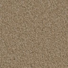 Texture Ideal Brown Carpet