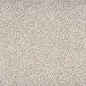 Textured Saxony Smooth Beige/Tan Carpet