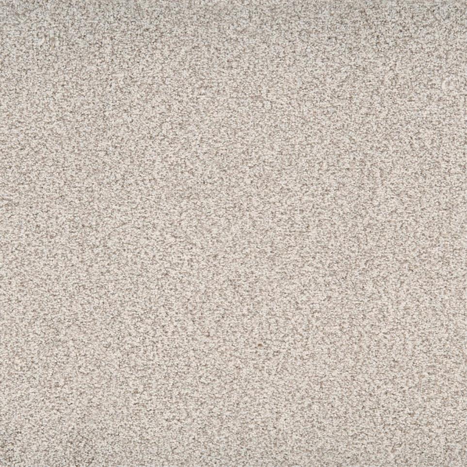Textured Saxony Smooth Beige/Tan Carpet