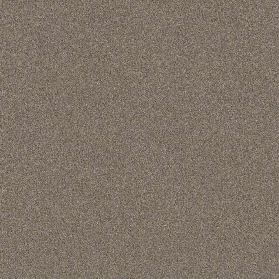 Textured Saxony Wild Straw Beige/Tan Carpet