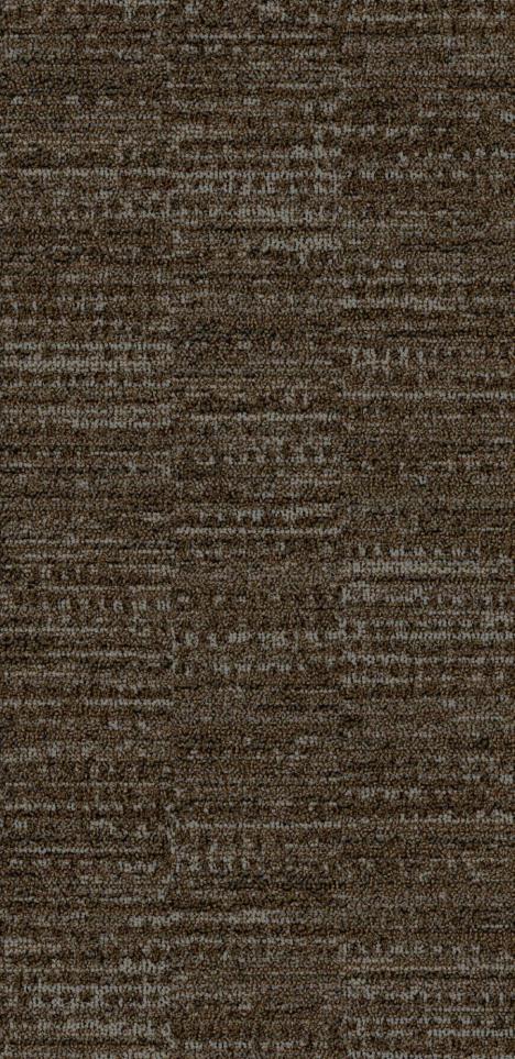 Pattern Odyssey Brown Carpet