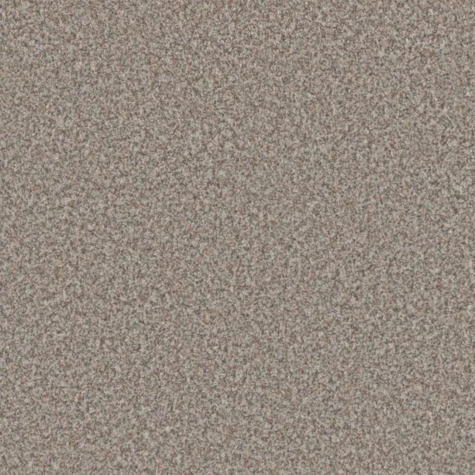 Textured Saxony Regency Beige/Tan Carpet