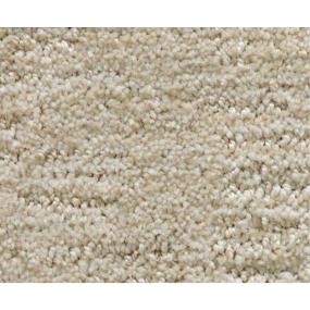 Pattern Crushed Ice Beige/Tan Carpet