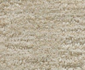 Pattern Crushed Ice Beige/Tan Carpet