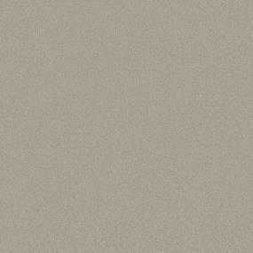 Textured Saxony Windsong Beige/Tan Carpet