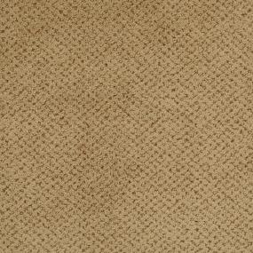 Pattern Wainscot Brown Carpet