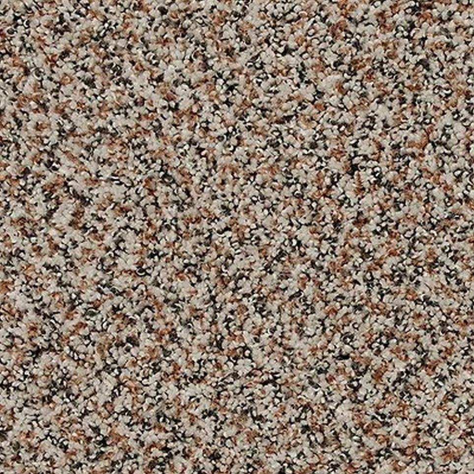 Textured Saxony Fine White White Carpet