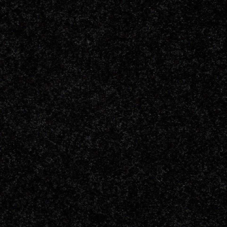 Textured Saxony Tuxedo Black Carpet