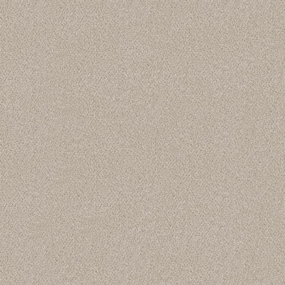 Plush Saxony Pebblerock Beige/Tan Carpet