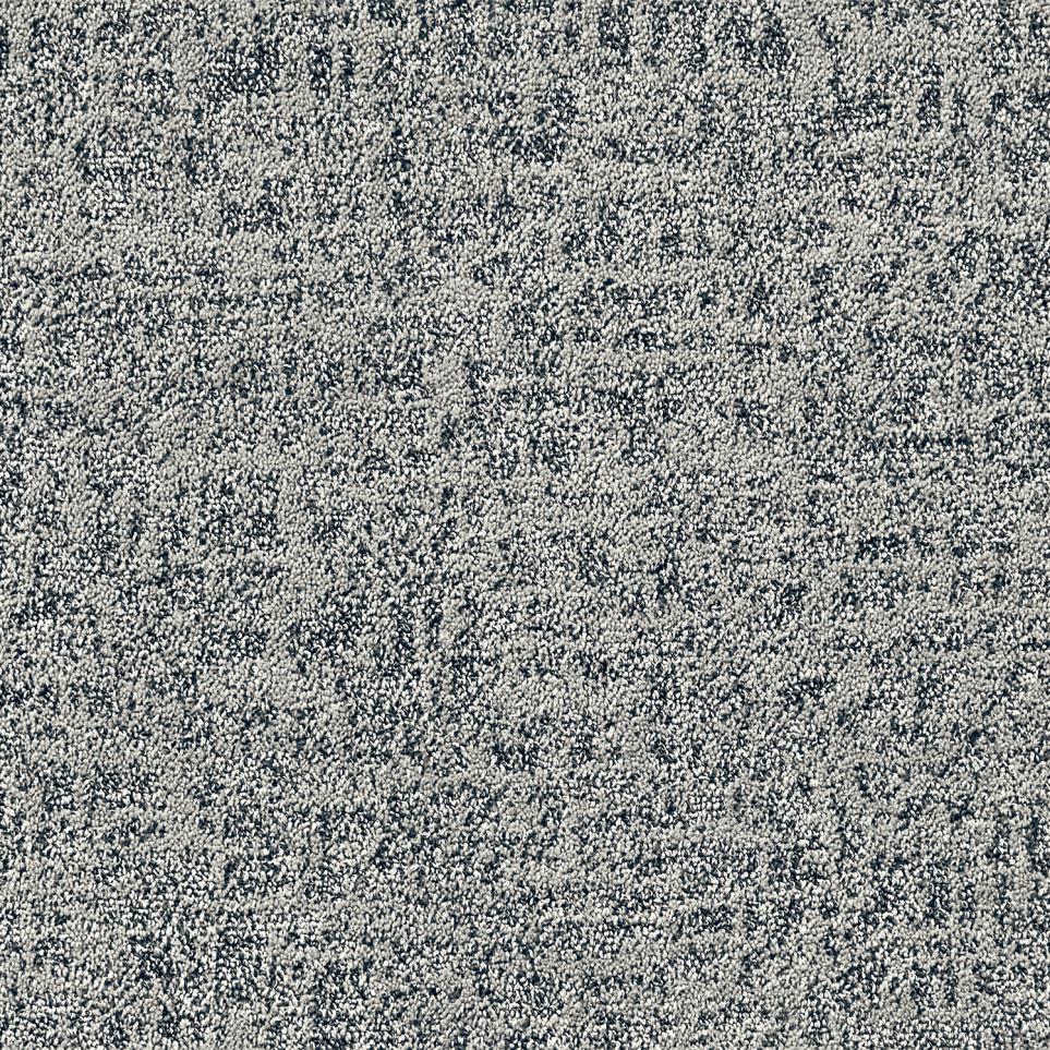 Pattern Fossil Gray Carpet