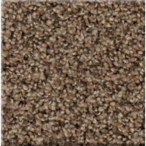 Texture Boot Strap Brown Carpet