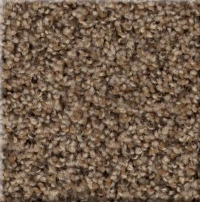 Texture Boot Strap Brown Carpet