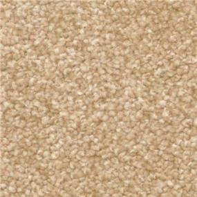 Casual Texture Taffy Beige/Tan Carpet