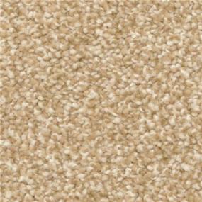 Casual Texture Cameo Beige/Tan Carpet