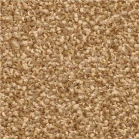 Casual Texture Yucatan Beige/Tan Carpet
