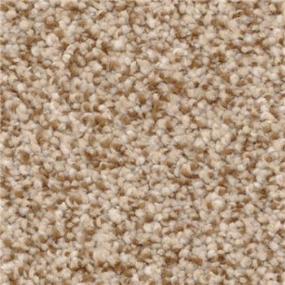 Casual Texture Dorion Tweed Beige/Tan Carpet