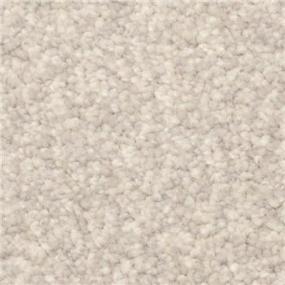 Casual Texture Granite Gray Carpet