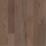 Cassia Bark