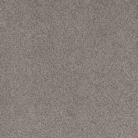 Cut Pile Hear Me Out Brown Carpet