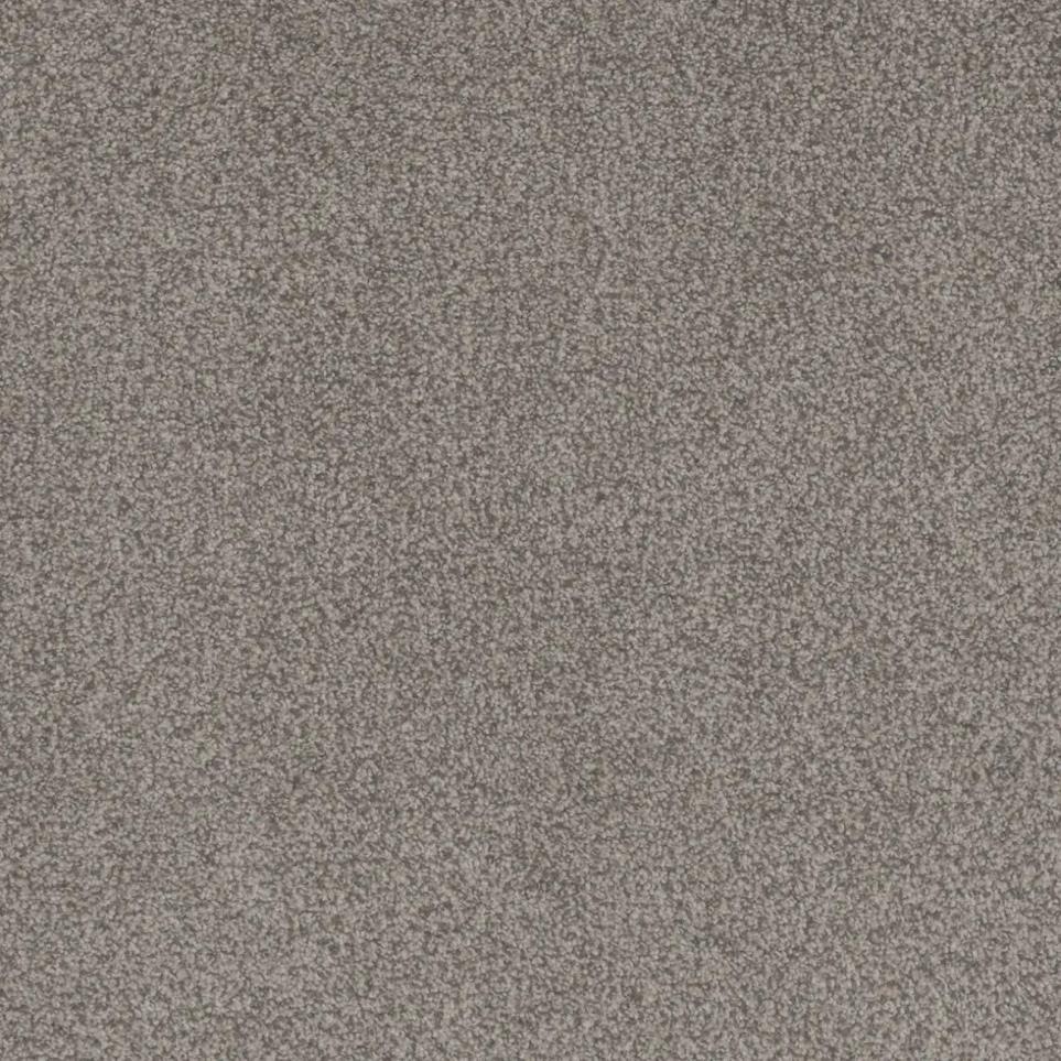 Cut Pile Hear Me Out Brown Carpet