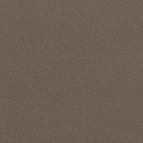 Textured Saxony Dusty Beige/Tan Carpet