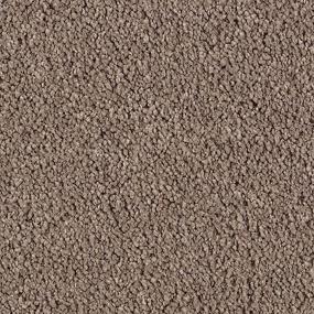 Cut Pile Bittersweet Brown Carpet