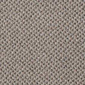 Loop Gunmetal Brown Carpet