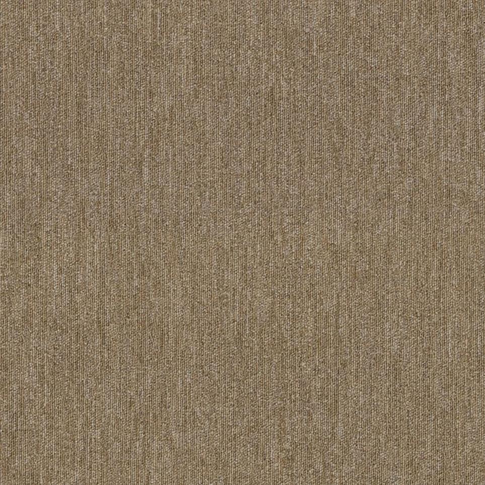 Loop Discharge Beige/Tan Carpet