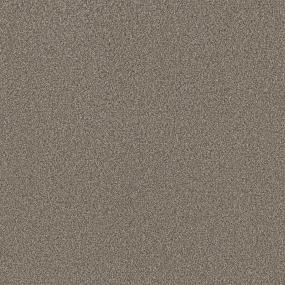 Textured Saxony Wellsley Beige/Tan Carpet