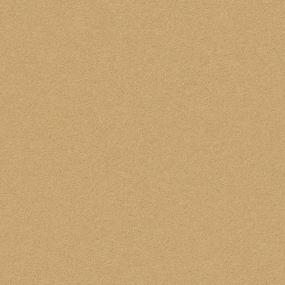 Textured Saxony Tawny Bisque Beige/Tan Carpet