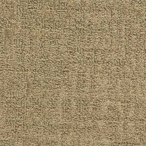 Pattern Mgm Beige/Tan Carpet