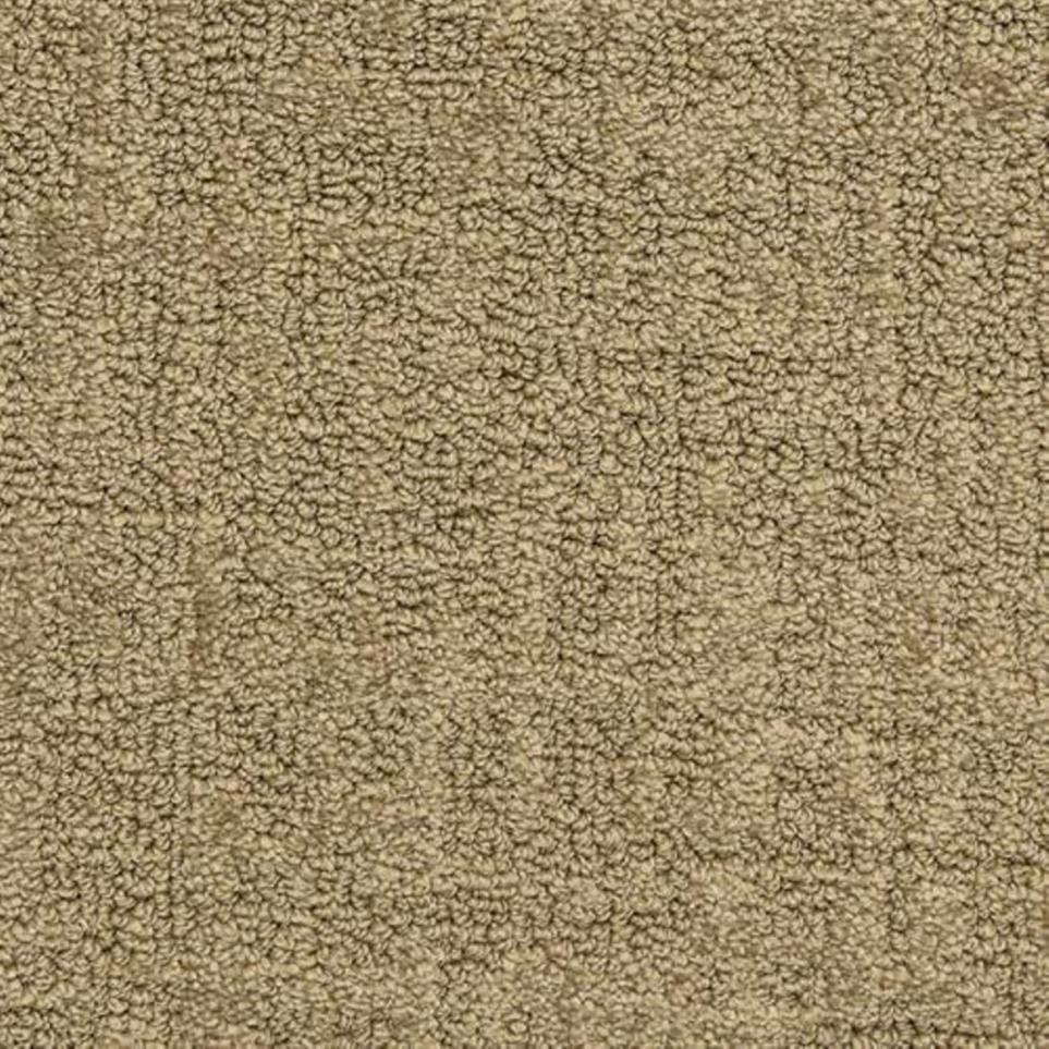 Pattern Mgm Beige/Tan Carpet