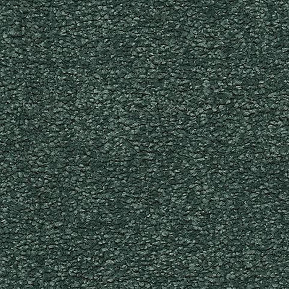 Textured Saxony Willow Gray Carpet