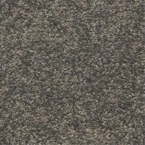 Casual Texture City Limits Gray Carpet