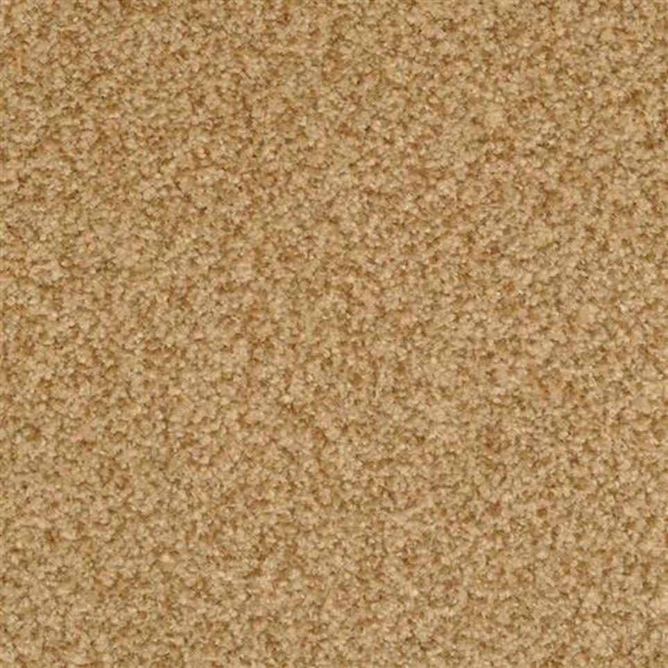 Casual Texture Diego Beige/Tan Carpet