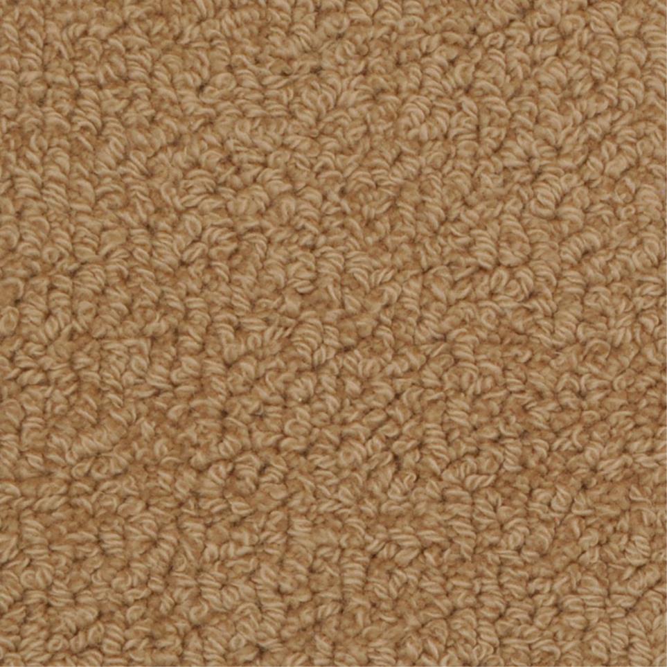 Loop Durbin Beige/Tan Carpet