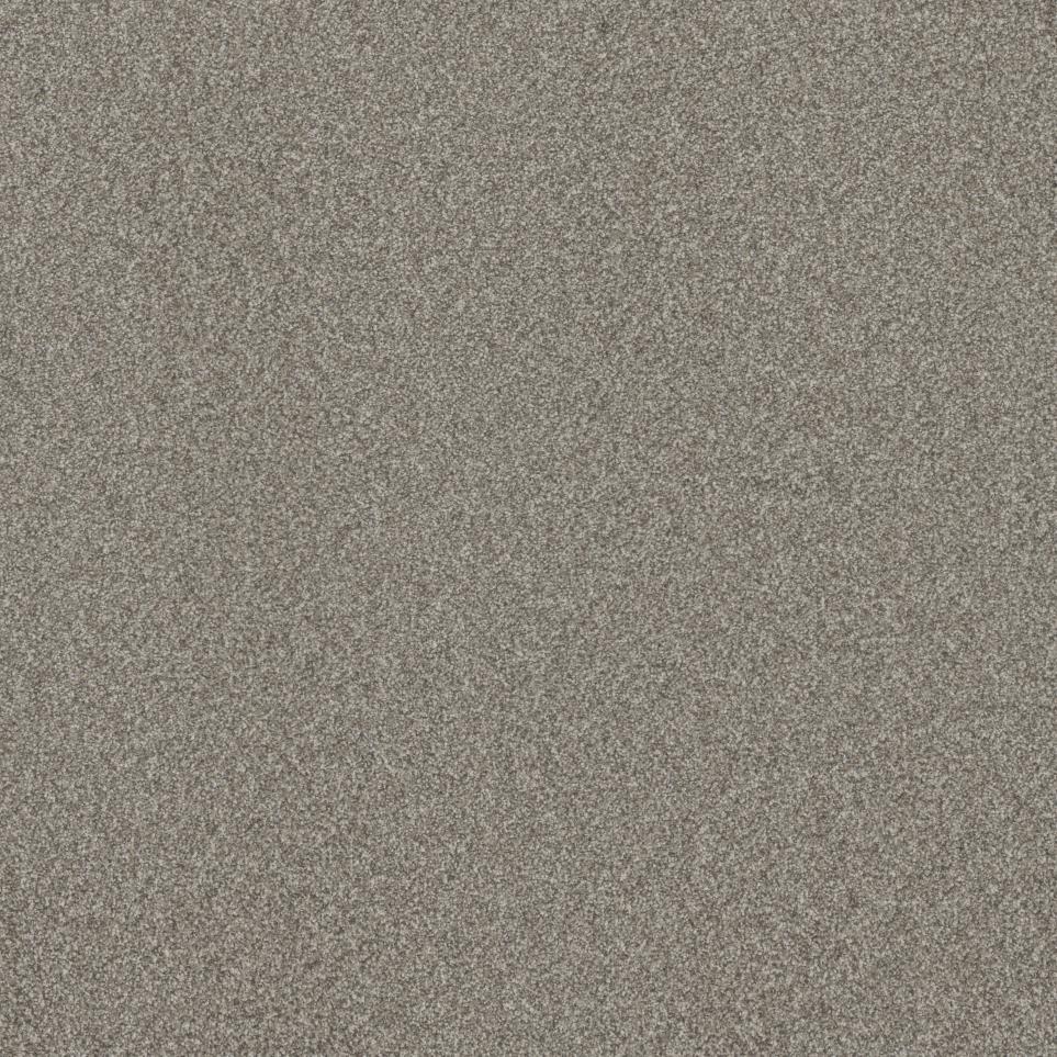 Texture Show Place Beige/Tan Carpet
