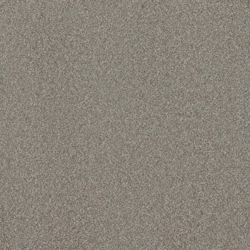 Textured Saxony Show Place Beige/Tan Carpet