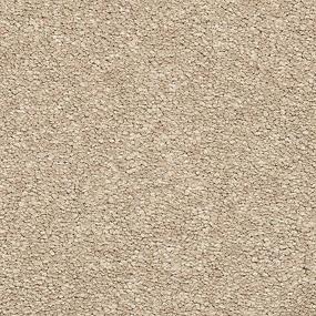 Textured Saxony Candle Beige/Tan Carpet
