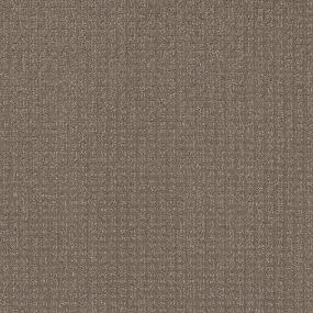 Pattern Fawn Bark Brown Carpet