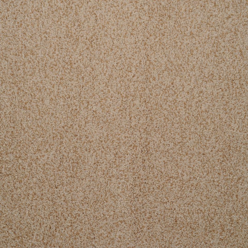 Frieze Brocade Beige/Tan Carpet