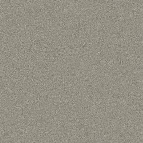 Textured Saxony Alluring Beige/Tan Carpet