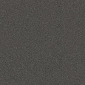 Textured Saxony Stone Walk Brown Carpet