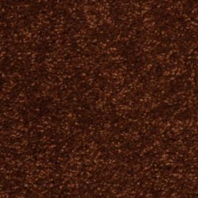 Frieze Ponderosa Brown Carpet