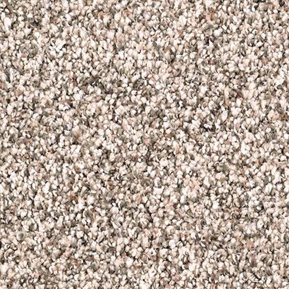 Textured Saxony Softened Ash Beige/Tan Carpet