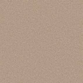 Texture Explorer Beige/Tan Carpet